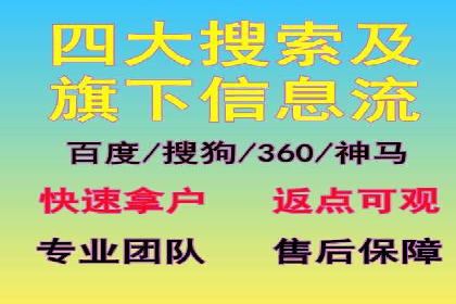 SEM代理助力企业：成功案例分析