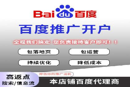 百度竞价排名策略解析及实战案例